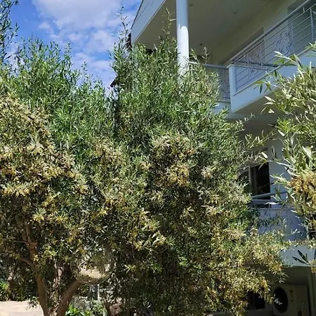 House Of Artemis E In Asprovalta * Selanik