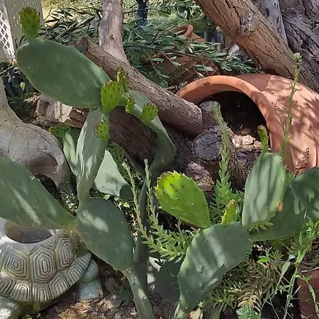 House Of Artemis E In Asprovalta * 테살로니키